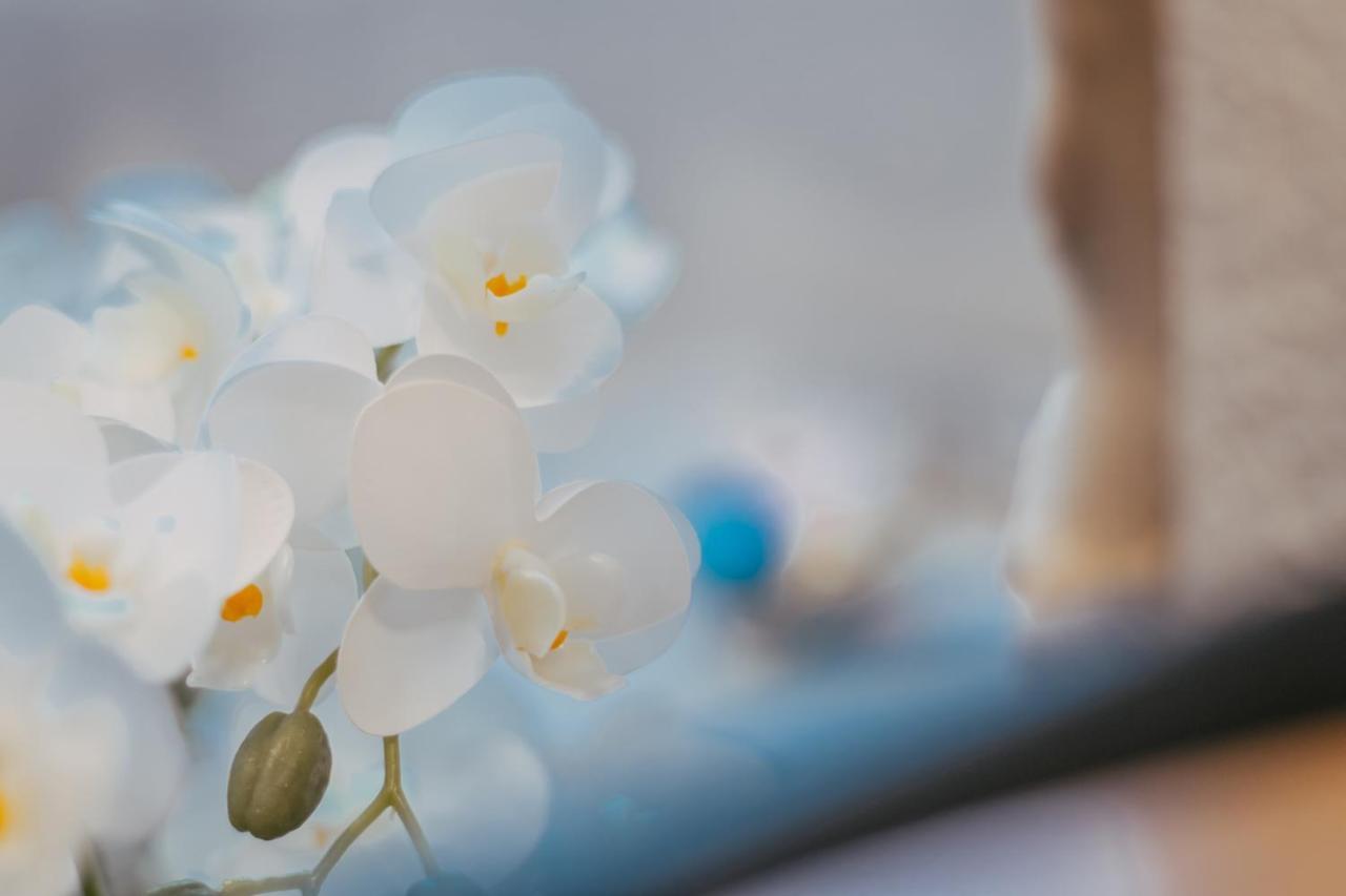 Residence Biocic 多吉奥科如 外观 照片